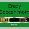 crazy soccer mom