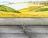 Motor bike Invisible Ride…
